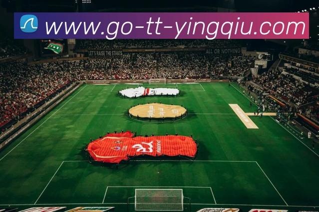 天天盈球品牌故事